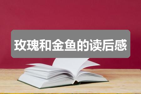 作文2024香港正版资料免费盾:玫瑰和金鱼的读后感(七篇)